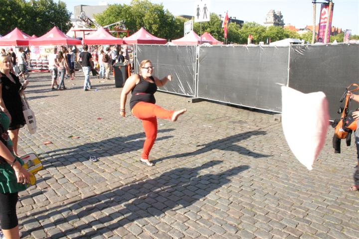 Studay2011 6833